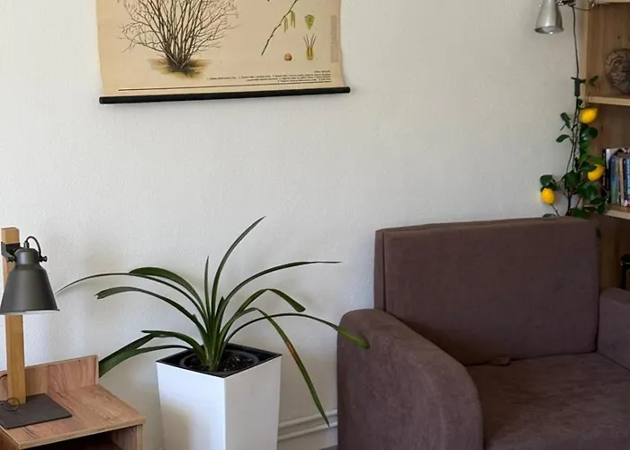 Apartment Mour Rejstejn